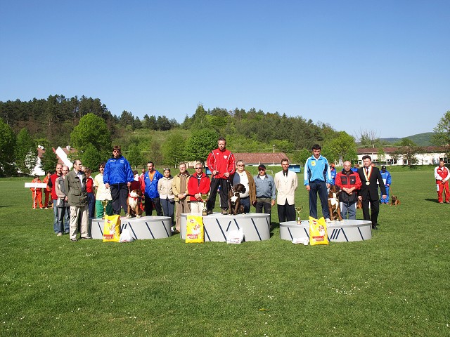 www.atibox.net * www.euroboxer.eu * www.boxergenealogia.eu